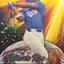 Zyhir Hope 2025 Bowman Chrome Meteoric Rise Mojo Refractor MR-19
